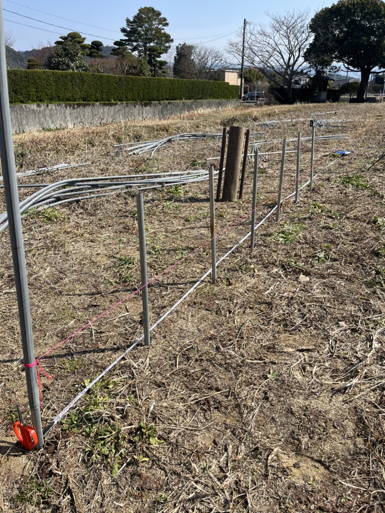 ビニールハウス建設のために巻尺と水糸を使って支柱の位置を正確に測っている様子