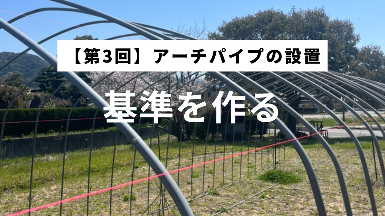 ピンクの水糸に沿ってアーチパイプを仮止めしているビニールハウスの骨組み（DIY施工）