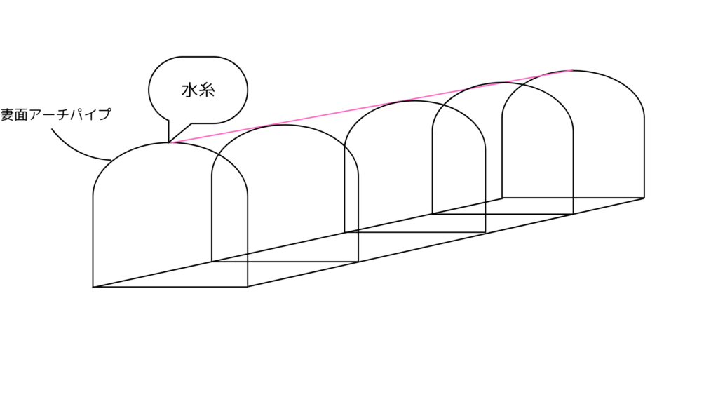 水糸に合わせてアーチパイプを接続していく工程