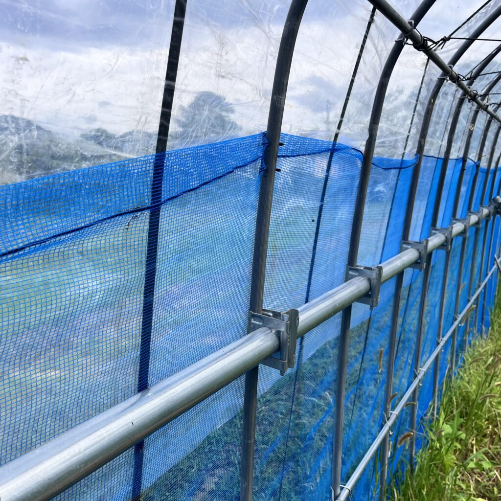 単管パイプを組み込んだハウス